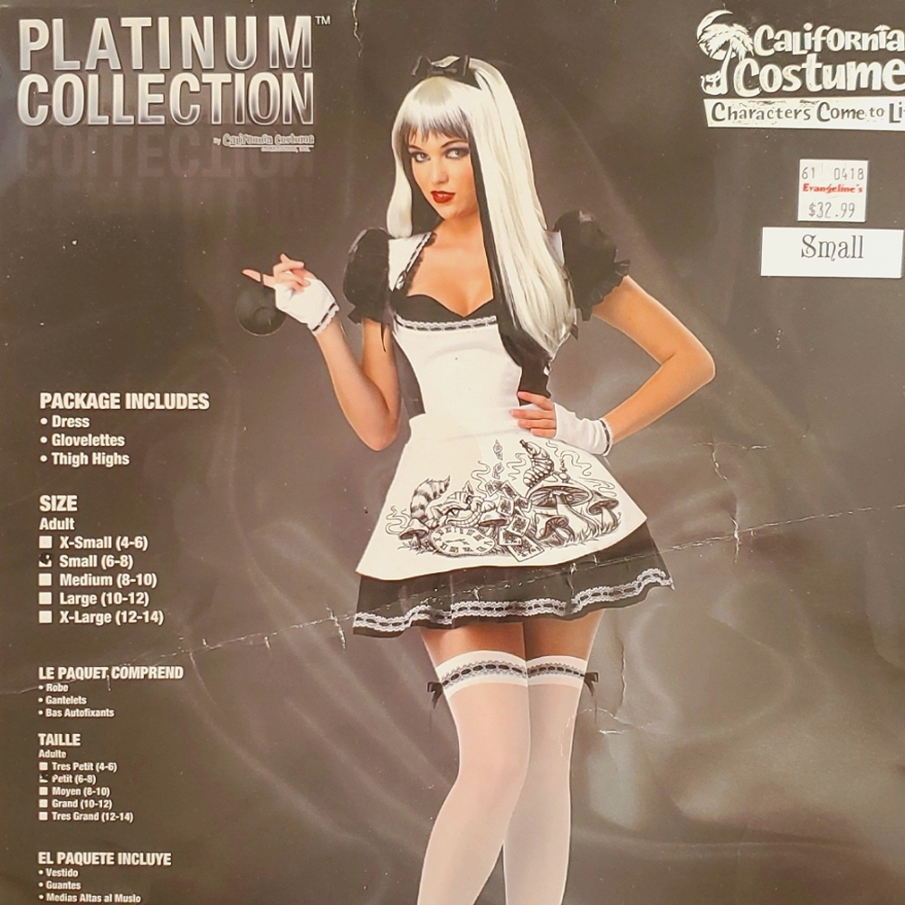 Dark Alice in wonderland costume